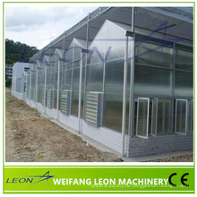 Glasgewächshaus der LEON-Serie mit CE-Zertifikat